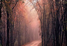 [乒乓球]山东魏桥·向尚运动夺得乒超男团冠军.