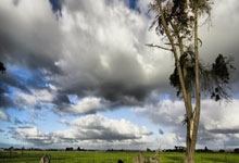 虎扑足球：卡特谈将被篮网退役球衣：梦想成真 心存感激.