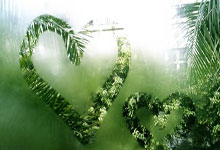 虎扑足球：「恭喜」轩宇11-10胜炸弹夺“沧虎球杆”杯沙氏.